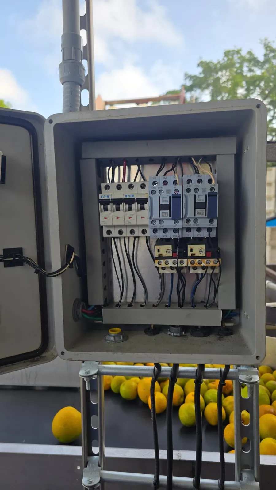 Motor-control box with Eaton breakers and WEG contactors mounted above a food-and-beverage citrus line